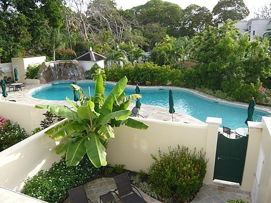 Jus Chillin Barbados. Swimming Pool
